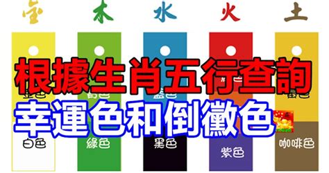 八字顏色|根據生肖五行查詢幸運色和倒霉色